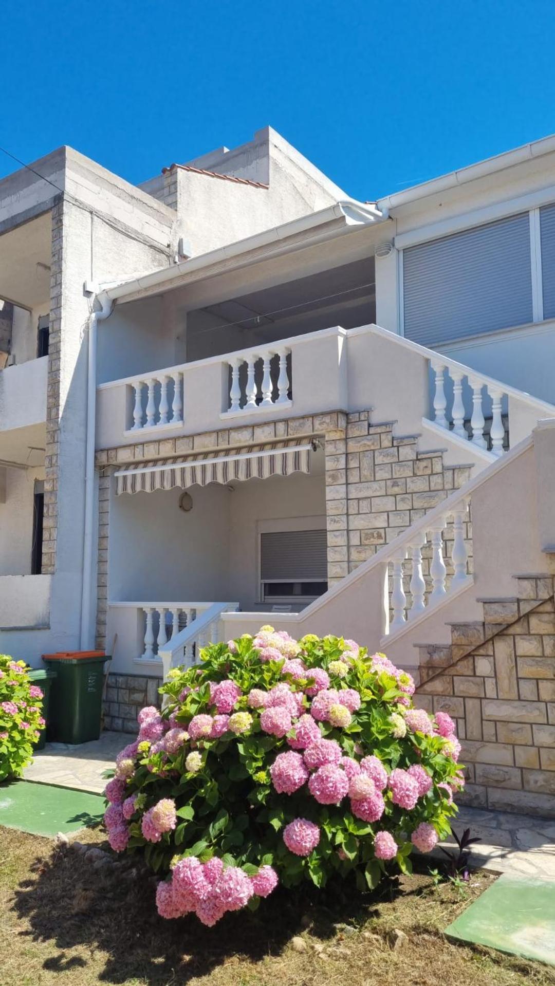 Apartments Pavic Sukošan Eksteriør billede